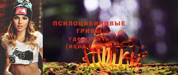 спайс Абаза